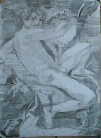 disegno
